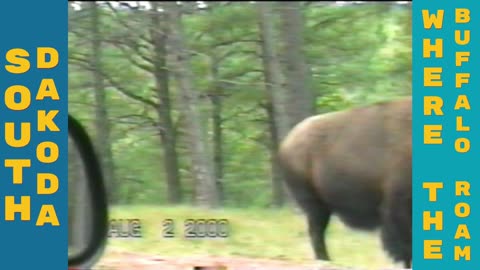 South Dakoda Trip 2000 - Where The Buffalo Roam