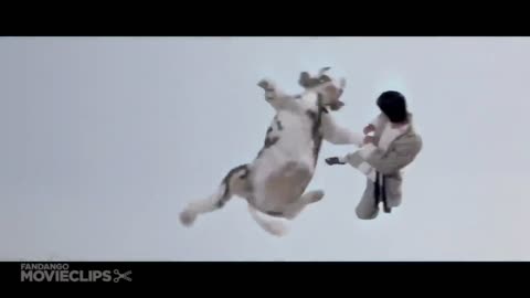 They don't make movies like these no more ...Kung Fu Cow Vs Master