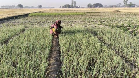 Morning Routine of Women in Summer || Indian women Life in Village || Indian Real Village