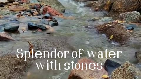 Splendor of water with stones