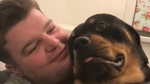 See the cutest Rottweiler when he grumbles, purrs & rumbles!