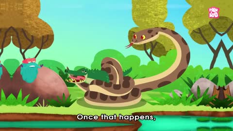 What If The Titanoboa Didn't Go Extinct_ _ Biggest Snake Ever _ Dr Binocs Show _ Peekaboo Kidz