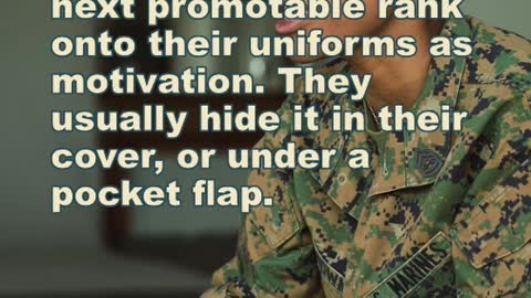 Did You Know That Marines Often Pin Their Next Promotable Rank?