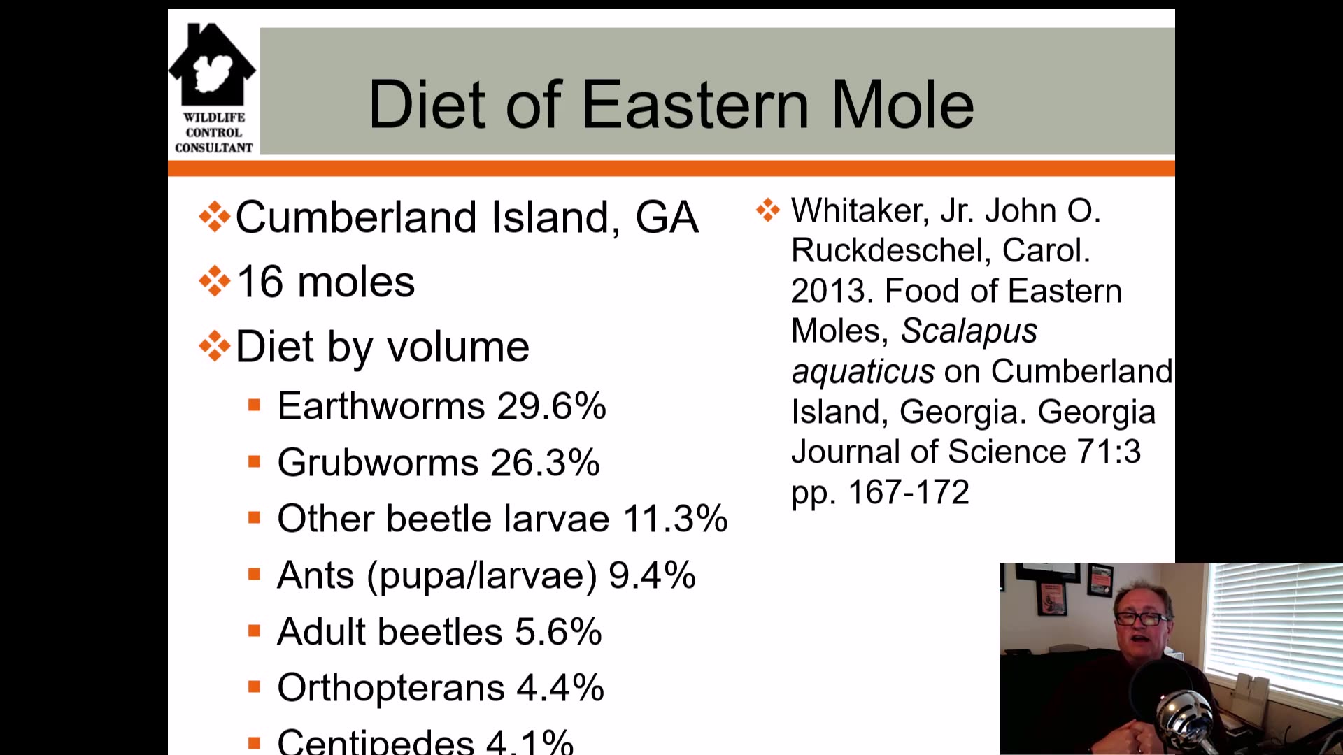 Uncovering The Eastern Mole's Diet: Insights From Wildlife Expert 