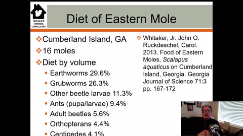 Uncovering the Eastern Mole's Diet: Insights from Wildlife Expert Stephen Vantassel