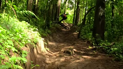 A Dirt Bike Tumble in the Jungle