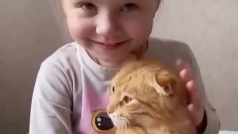 Animals loves and funny video😂😅