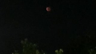 Red, red, moon #downunda
