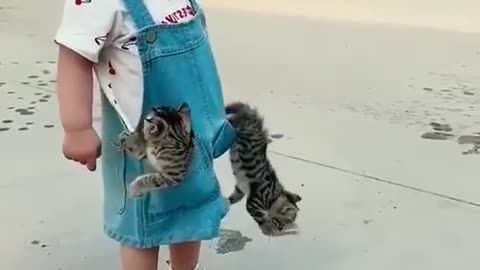 Cute baby and cat