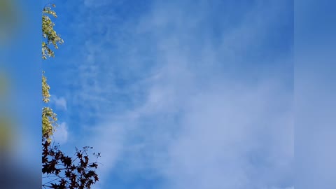 Geo-engineering Evidence 10/19/22