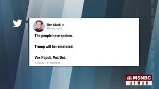 Elon Musk Reinstates Trump’s Twitter Account