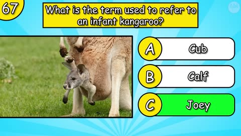 How Good is Your General Knowledge- Take This 100-Question Quiz To Find Out!