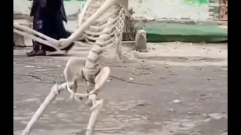 Someone who disobeyed his mother turned into a skeleton | Funny 😂😂