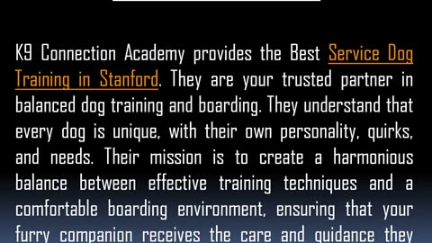 Best Puppy Training in Stanford
