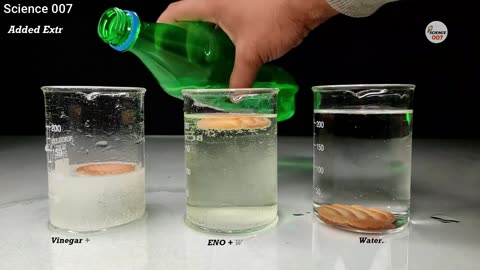 Science Easy Experiments
