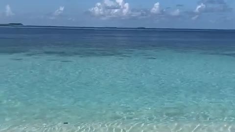 Lying on the beach in the sun