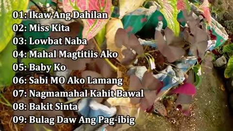 Love Song Tagalog .