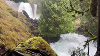 Raging Waterfall Flowing Through Old Growth Mossy Forest – Sahalie Falls & Koosah Falls Loop – 4K