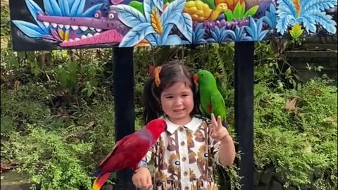 Skyelyn at Bali zoo - feeding elephants experience