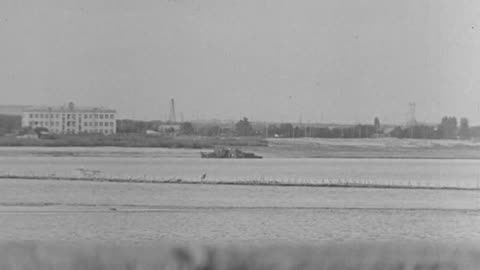 5cm Pak 38 anti-tank gun engages a Soviet vessel on the Eastern Front in the Summer of 1941