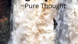 Big City Serfs - Pure Thought