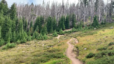 Oregon - Mount Hood - Crossing Alpine Meadow