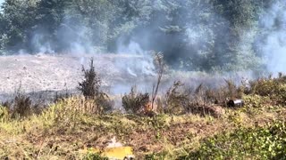 Washington fire crews stop growth of brush fire south of Tacoma