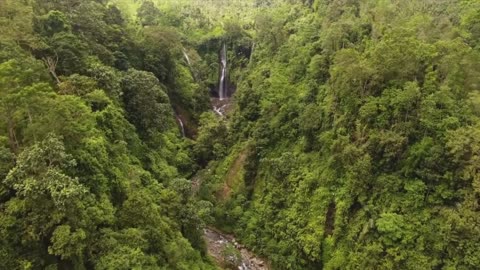 Amazon Rainforest | Amazon Jungle | Nature Documentary Free Stock Footage