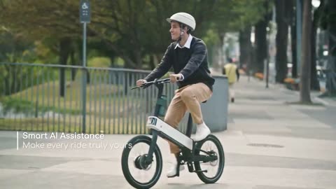 ebii electric bike