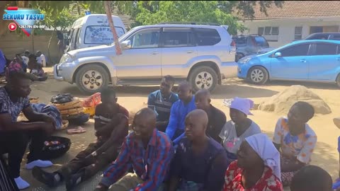 Traditional healers in zimbabwe