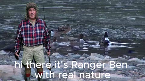 Ranger Ben finds danger and funny in Reel Nature