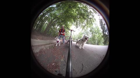 RuFF Boarding with GiGi and Princess!