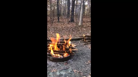 Camping with my dog -Land Between The Lakes