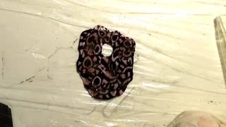 Using Scrap Polymer Clay to Make Jewelry