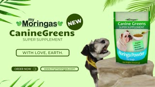 Introducing Canine Greens