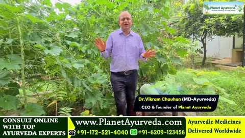 Ash Gourd ,Winter Melon Health Benefits and Medicinal Uses