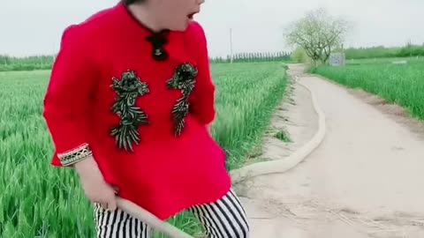 Funny Chinese Video Clips