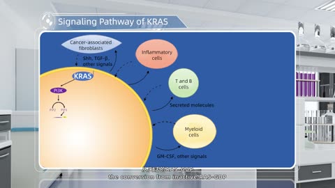Human Cancer Target-Signaling Pathway of KRAS