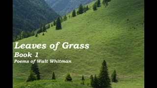 Leaves of Grass - Book 1 - Poems of Walt Whitman - FULL Audio Book - Poetry