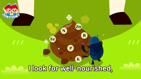 The Dung Beetle Song | 💩Why Do Dung Beetles Like Dung? | Insect Songs for Kids | JunyTony