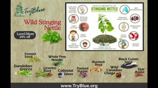 Wild Stinging Nettle Elixir from TryBlue - Dilley's Commentary is Hilarious!