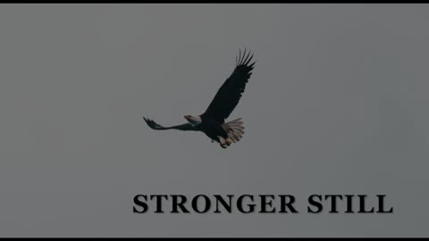 Pray USA 1/31/24 Stronger Still