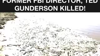 The VIDEO that got former FBI Director, Ted Gunderson killed