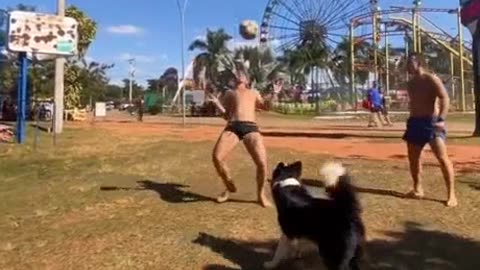 Doggo plays soccer