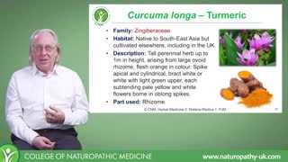 Turmeric and in Herbal Medicine