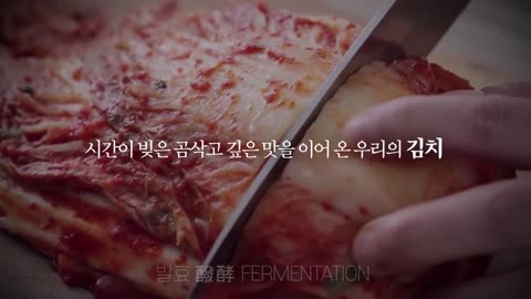 김치는 한국 전통음식입니다. | 김치의 탄생