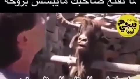 لما تقنع واحد صاحبك وهو مش مقتنع