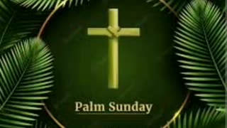Happy palm Sunday 🙏⛪🌴