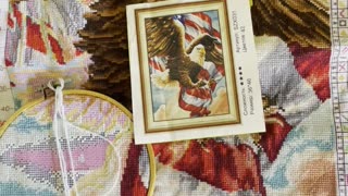 Update - Patriotic Eagle project