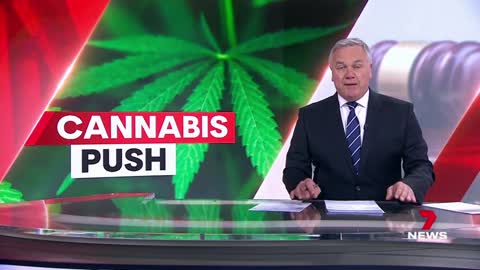 Calls to decriminalise cannabis in Victoria _ 7NEWS